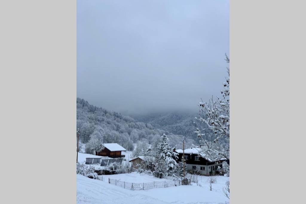 Appartement Lumineux Coeur De Station Thollon-les-Memises Dış mekan fotoğraf