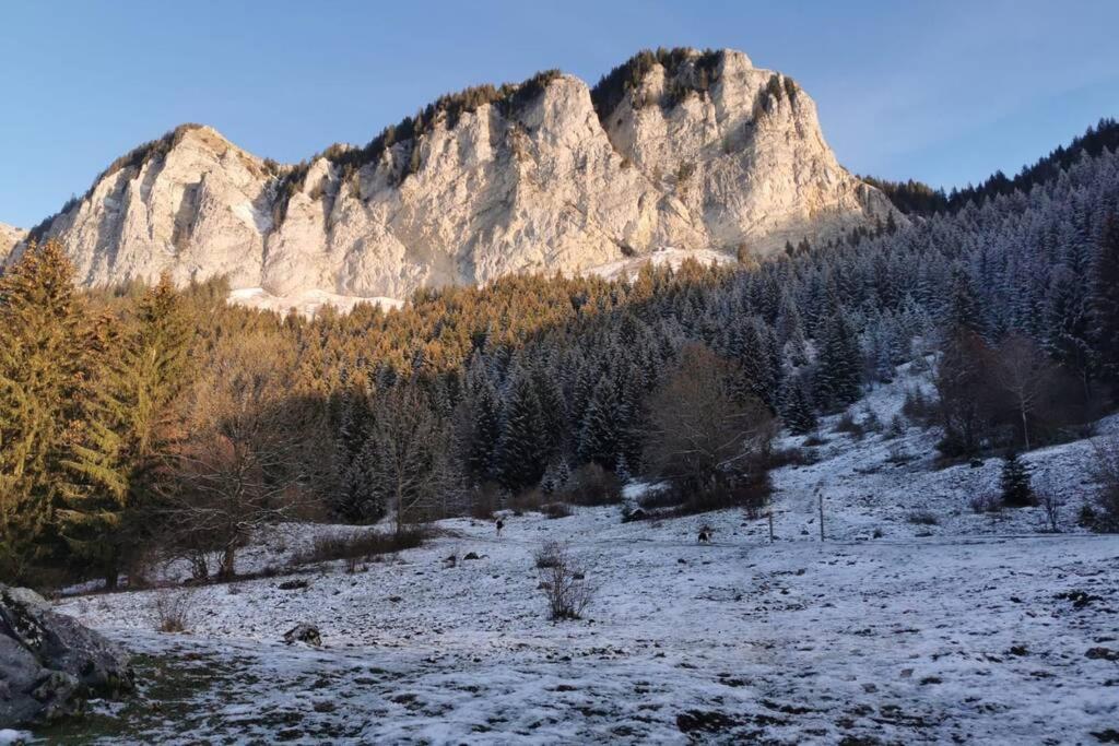 Appartement Lumineux Coeur De Station Thollon-les-Memises Dış mekan fotoğraf